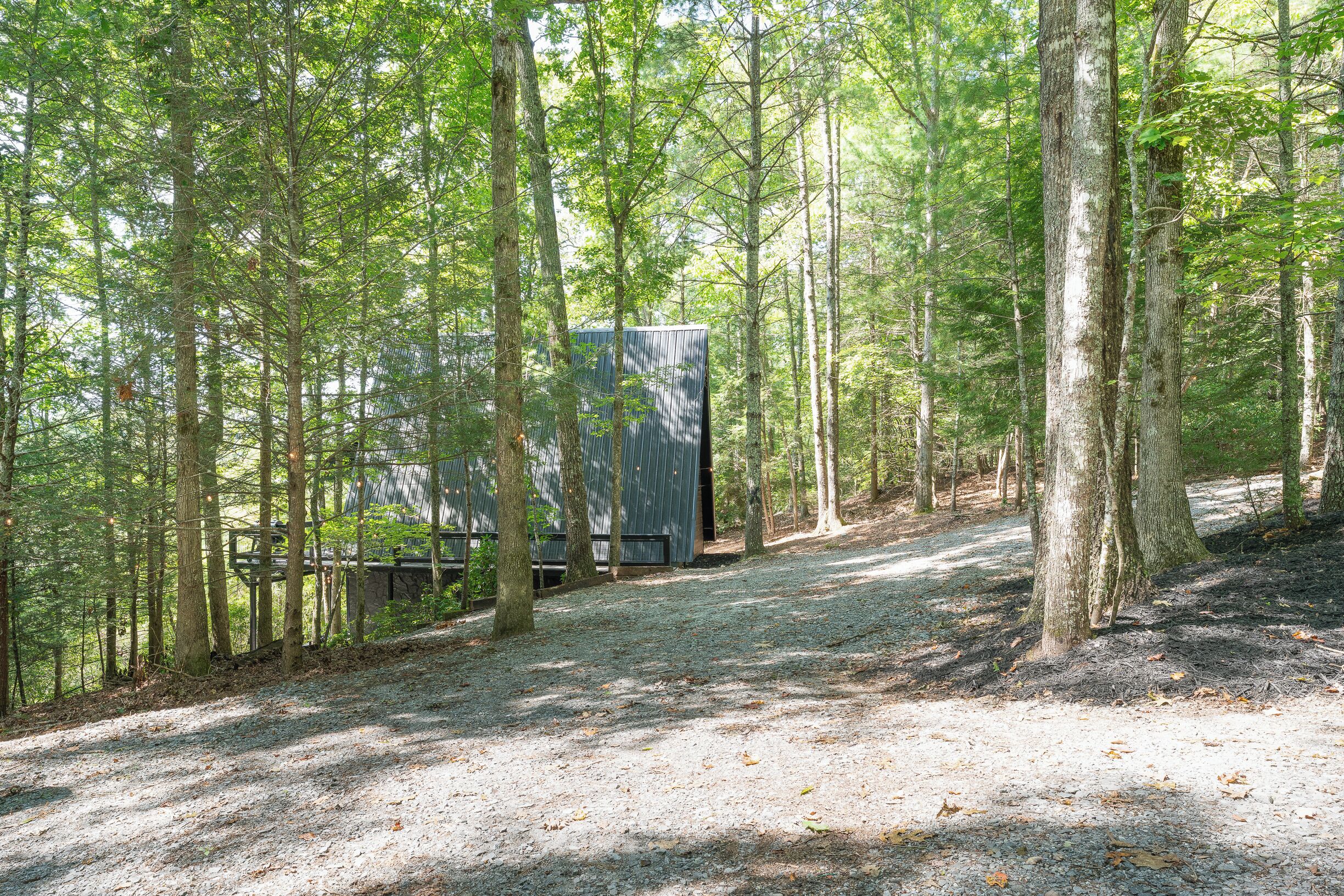 A forested area with a gravel path leading to a modern building with a sloped roof.