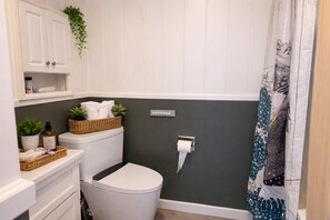 Bathroom - Adorable 1-bedroom 1.5 bath house with Hot tub in charming Tryon (Tryon)