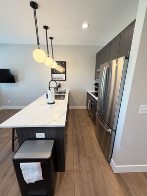 Private kitchen - The Grove Studio, Manchester Ave:Near Forest Park (St. Louis)