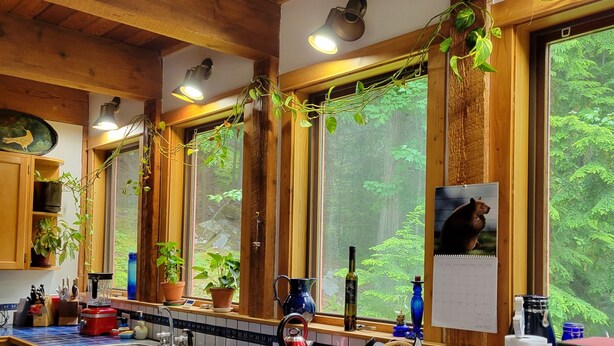 A kitchen with wooden cabinets, a blue-tiled countertop, a kettle, a wine bottle, and a calendar. - Eco-Garden: Rural Beauty in recreation heaven. (Central Kootenay E)
