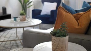 Ein modernes Wohnzimmer mit einem grauen Sofa, einem runden Couchtisch und einer Topfpflanze.