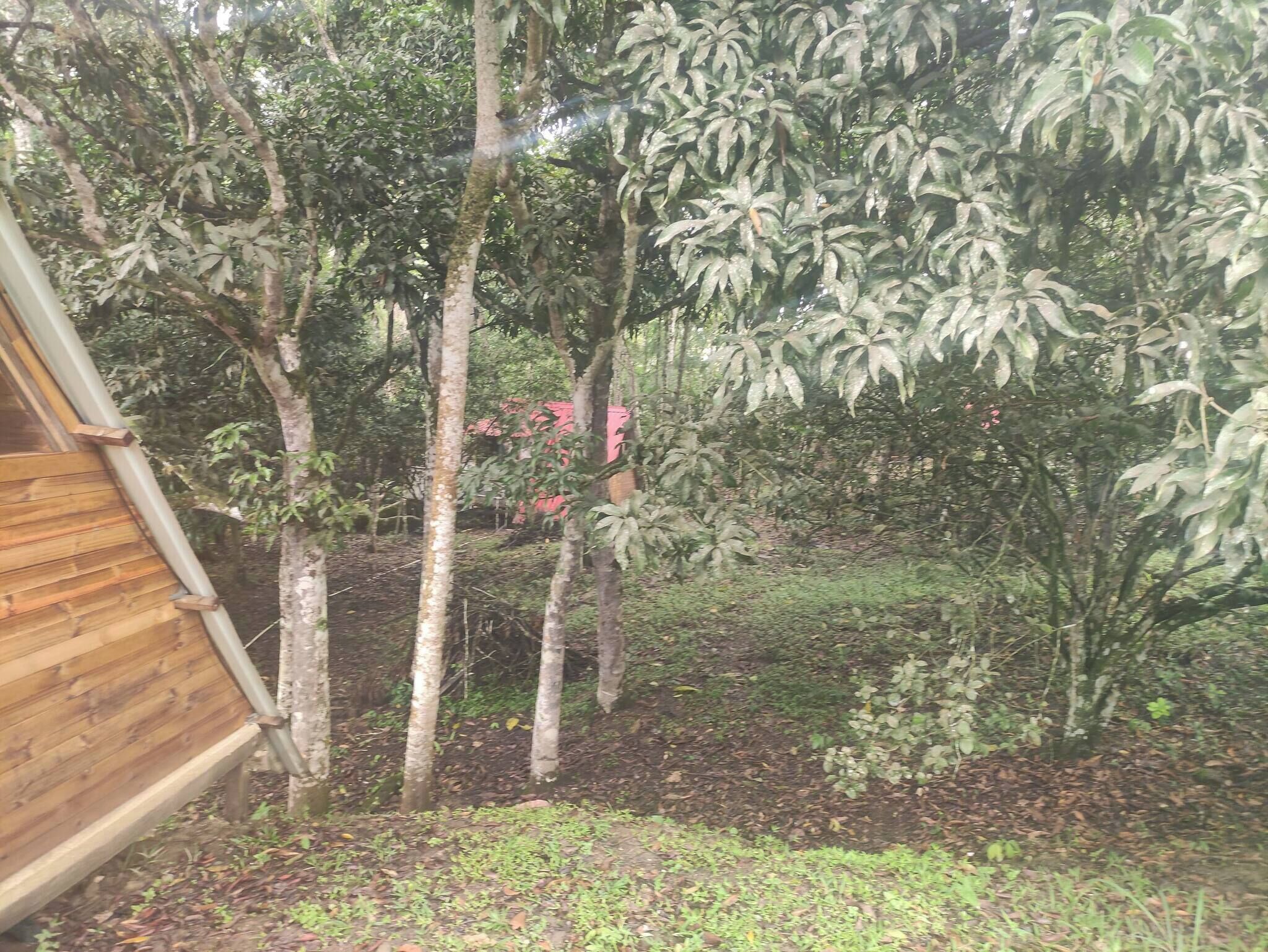 Cabin, 3 Bedrooms, Smoking, Balcony | Property grounds