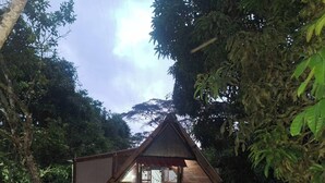 A wooden triangular structure with a door and a small window, surrounded by dense foliage.
