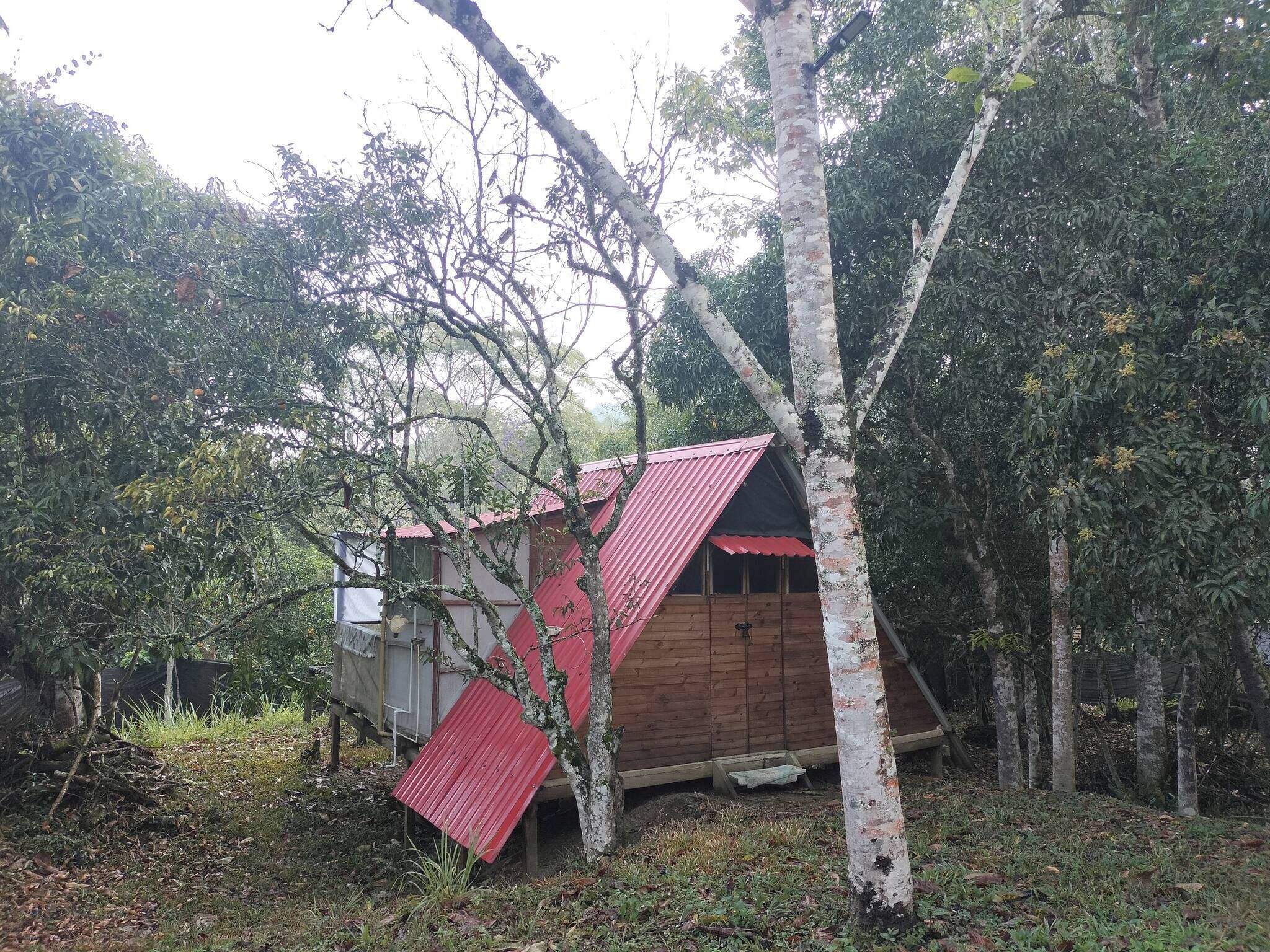 Cabin, 3 phòng ngủ, hút thuốc, ban công | Ngoại thất