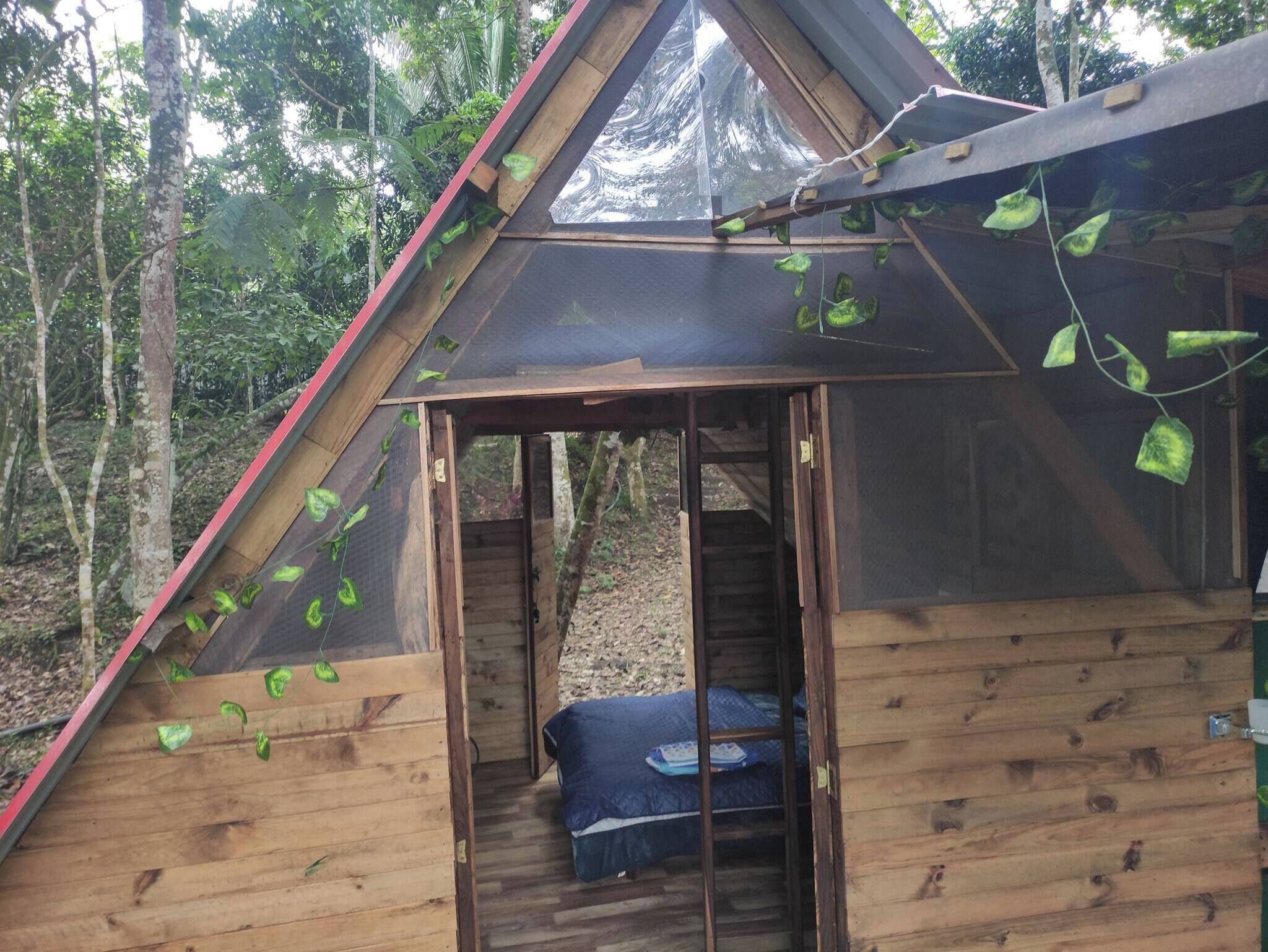 Cabin, 3 Bedrooms, Smoking, Balcony | Property grounds