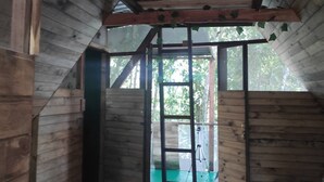 A wooden interior with a sloped ceiling, a ladder, and a green floor.