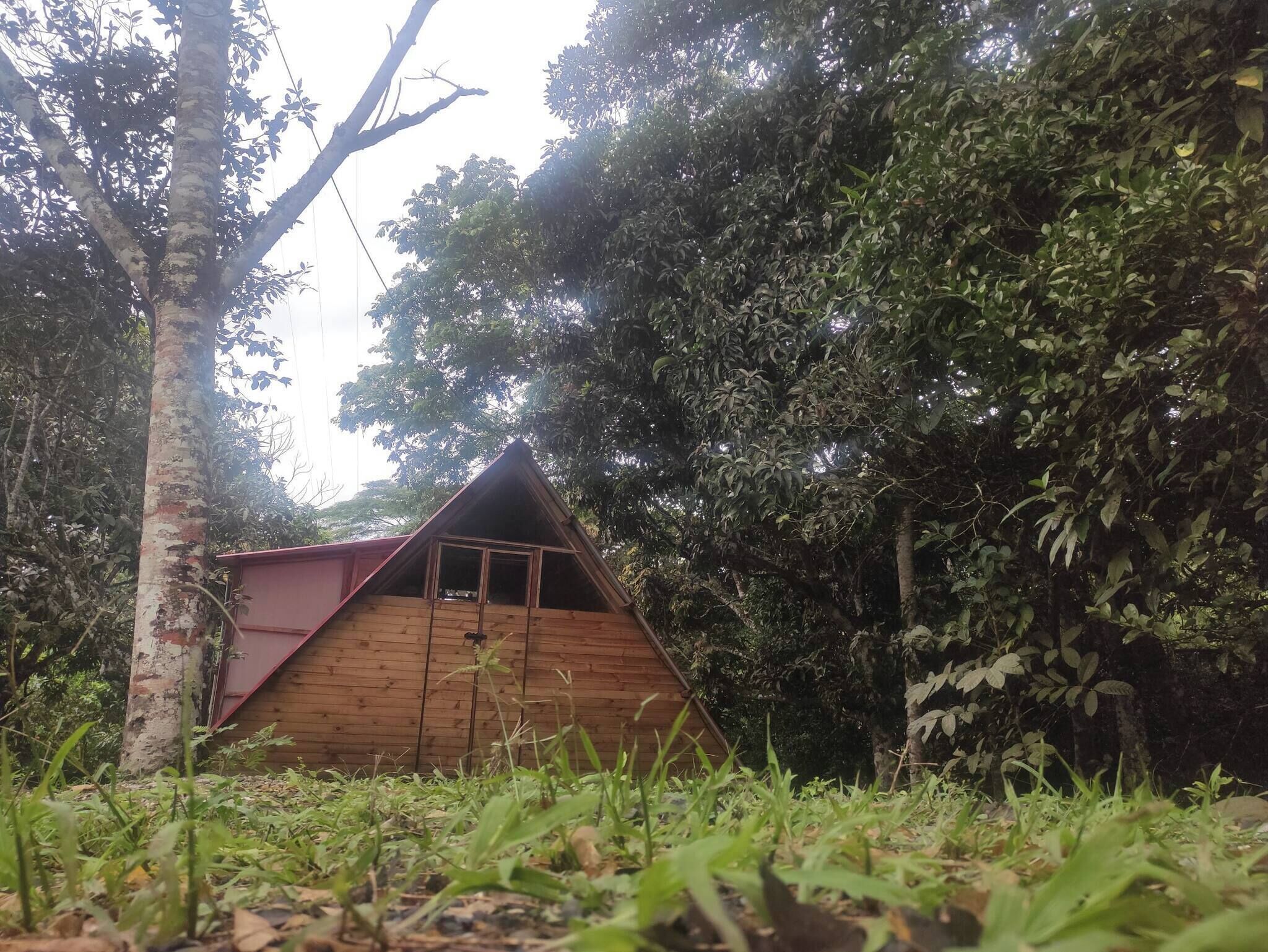 Cabane, 3 chambres, fumeurs, balcon | Enceinte de l’hébergement