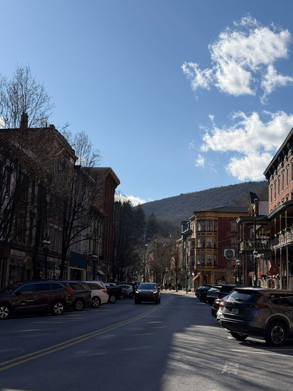 A street lined with historic buildings, a clear sky, and a mountain in the background.