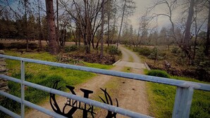 A pathway through a wooded area with a metal fence in the foreground.