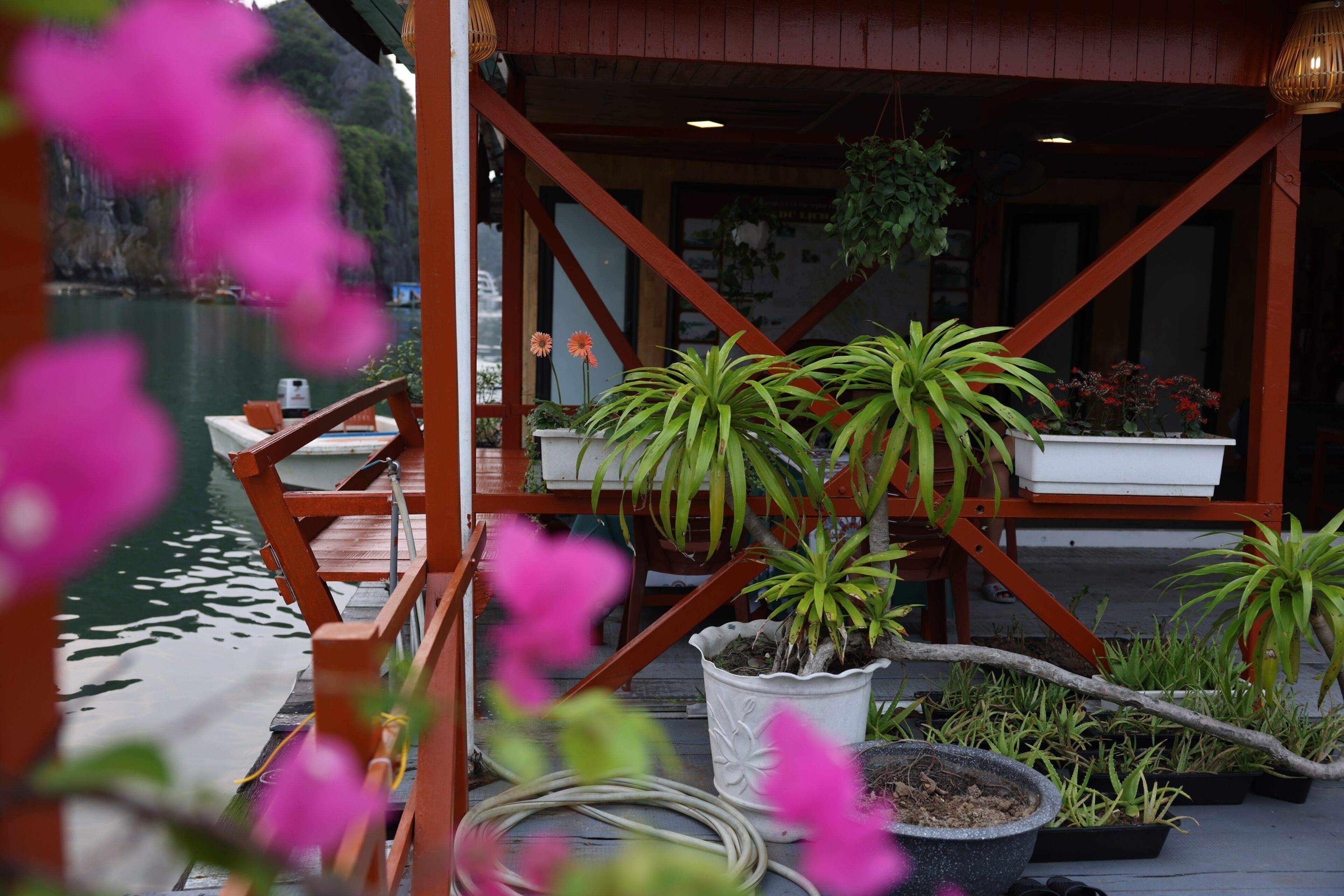 Pemandangan dari hartanah