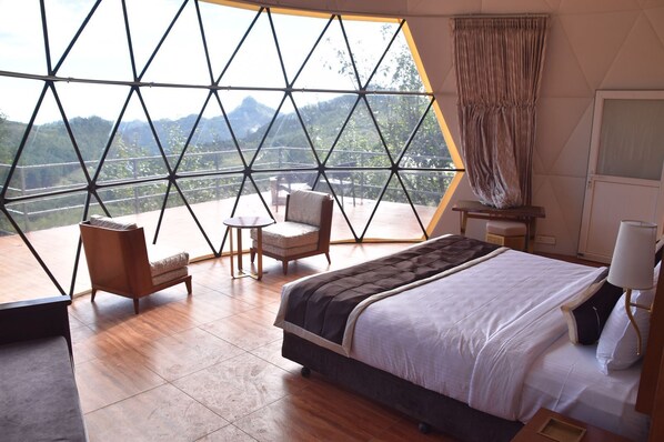 Signature Studio, Garden Area