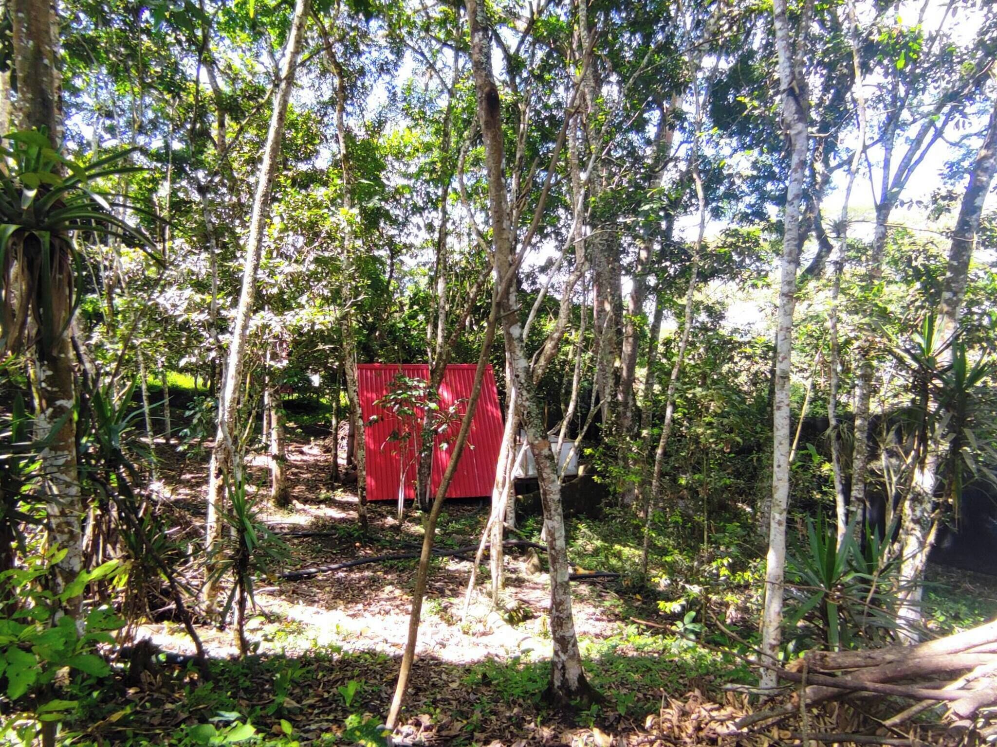 Una estructura roja rodeada de un bosque denso.