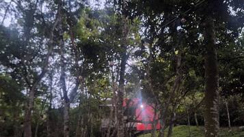 Àrea exterior de l'allotjament