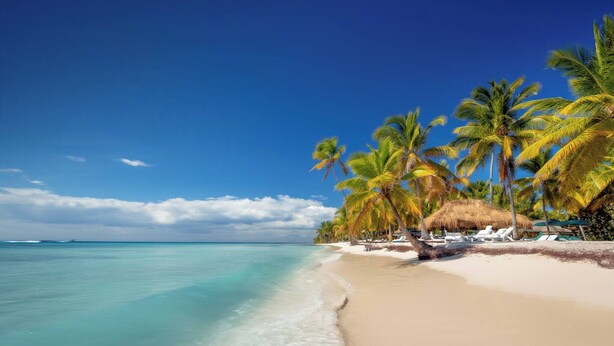 Una playa con agua turquesa cristalina, palmeras y una cabaña de techo de paja.