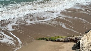 Una playa con olas, rocas y montañas a lo lejos.