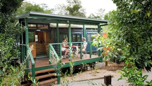 Una estructura con techo verde y un área de estar cubierta al aire libre, rodeada de vegetación.