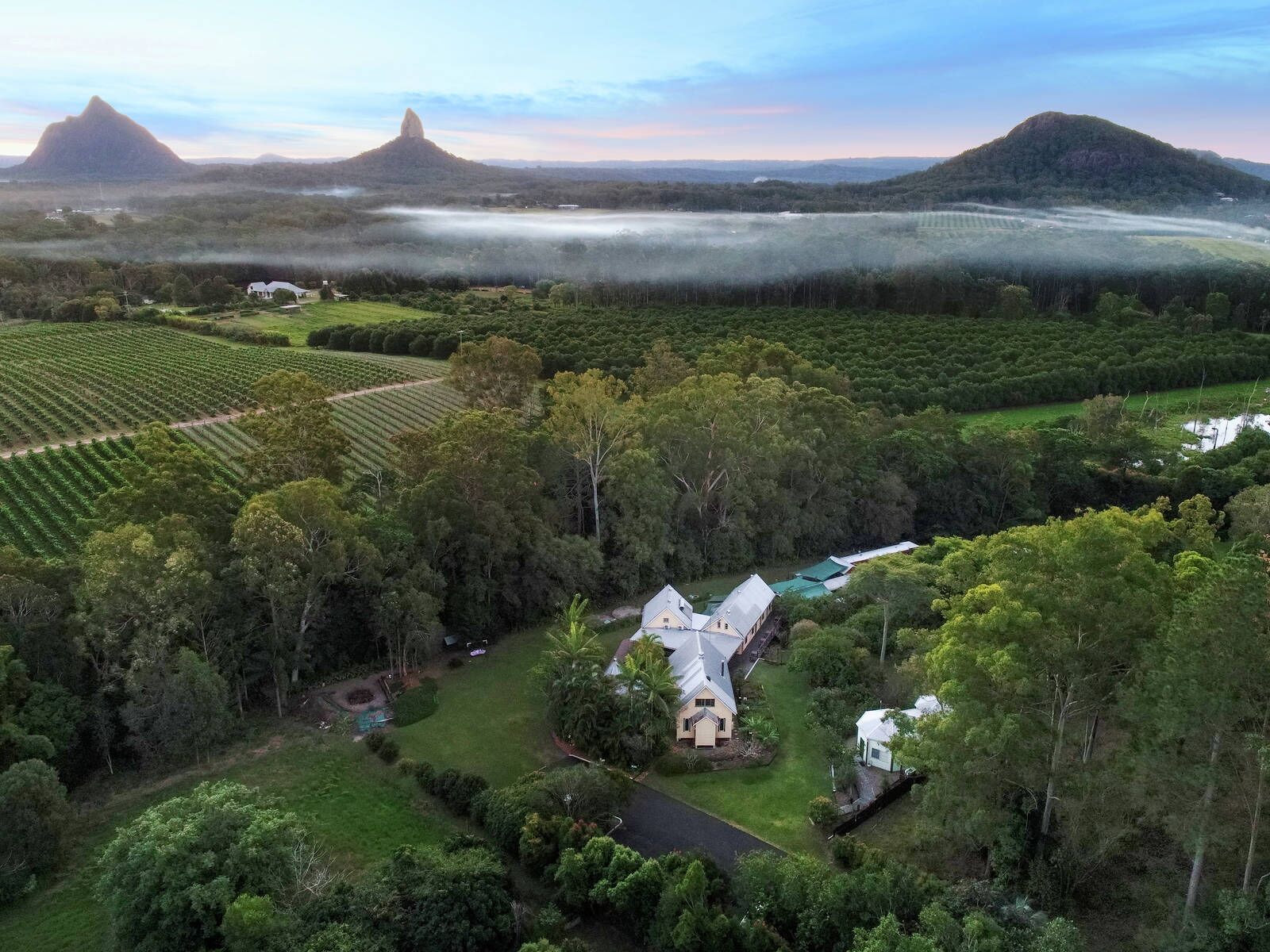 A large estate with expansive fields, a central house, and surrounding forested areas.