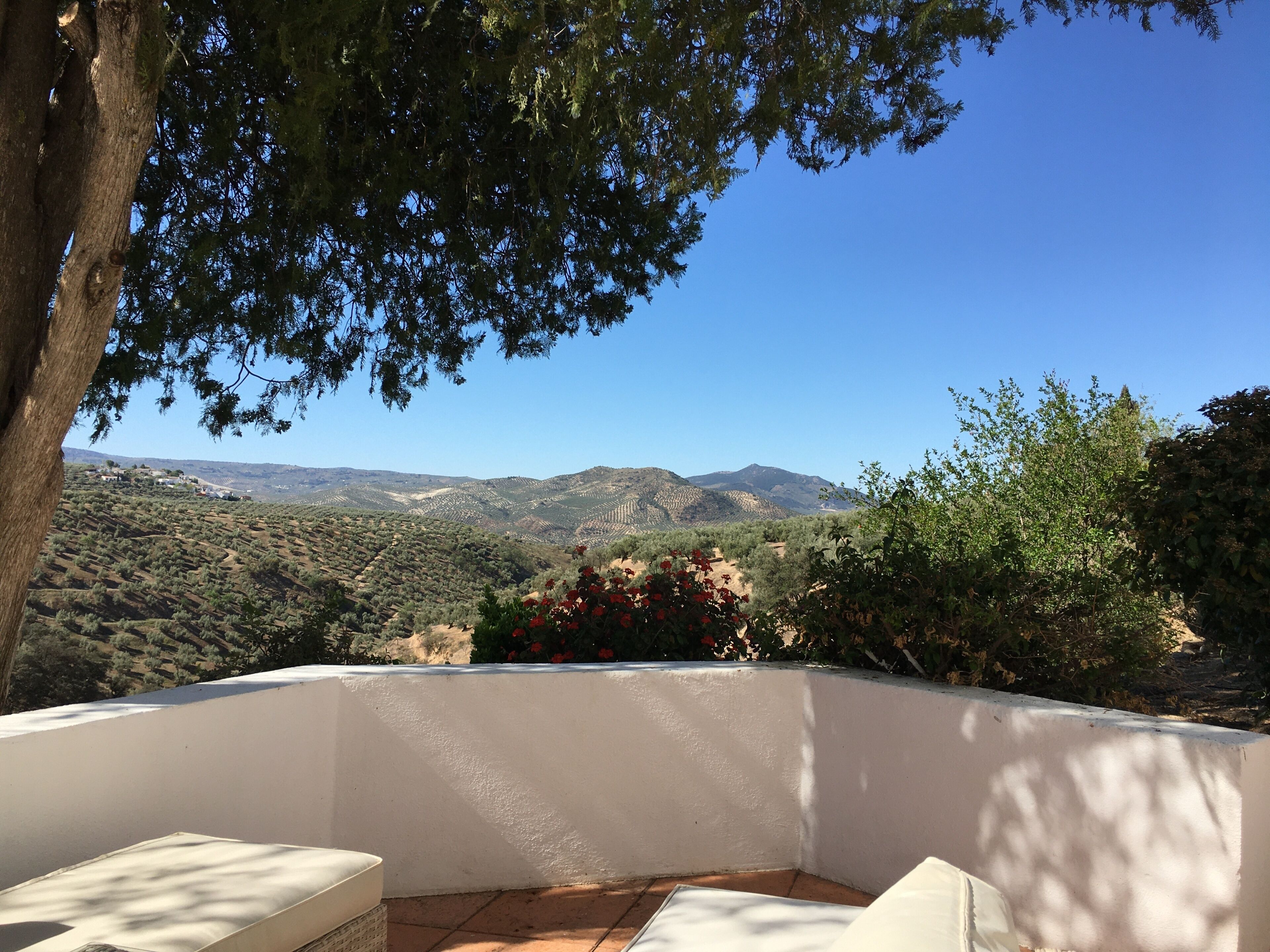 Eine Terrasse mit einer weißen Wand, einem Baum und Blick auf eine hügelige Landschaft.