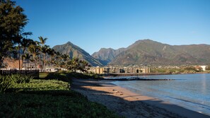 Beach - Seaside Gem! Harborfront Property, Outdoor Pool, Minutes to Paukukalo Beach! (Kahului)