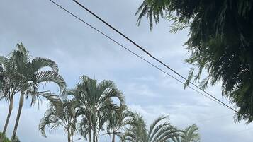Condo, 2 Bedrooms | Garden