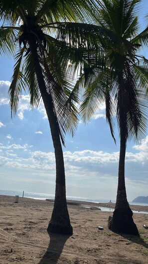 Two palm trees on a sandy beach with a clear sky and distant mountains. - Villa a Block Away to the Beach (Jacó)