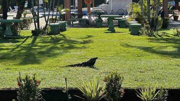 Condo, 2 Bedrooms | Outdoor dining