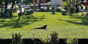 Condo, 2 Bedrooms | Outdoor dining - Villa a Block Away to the Beach (Jacó)