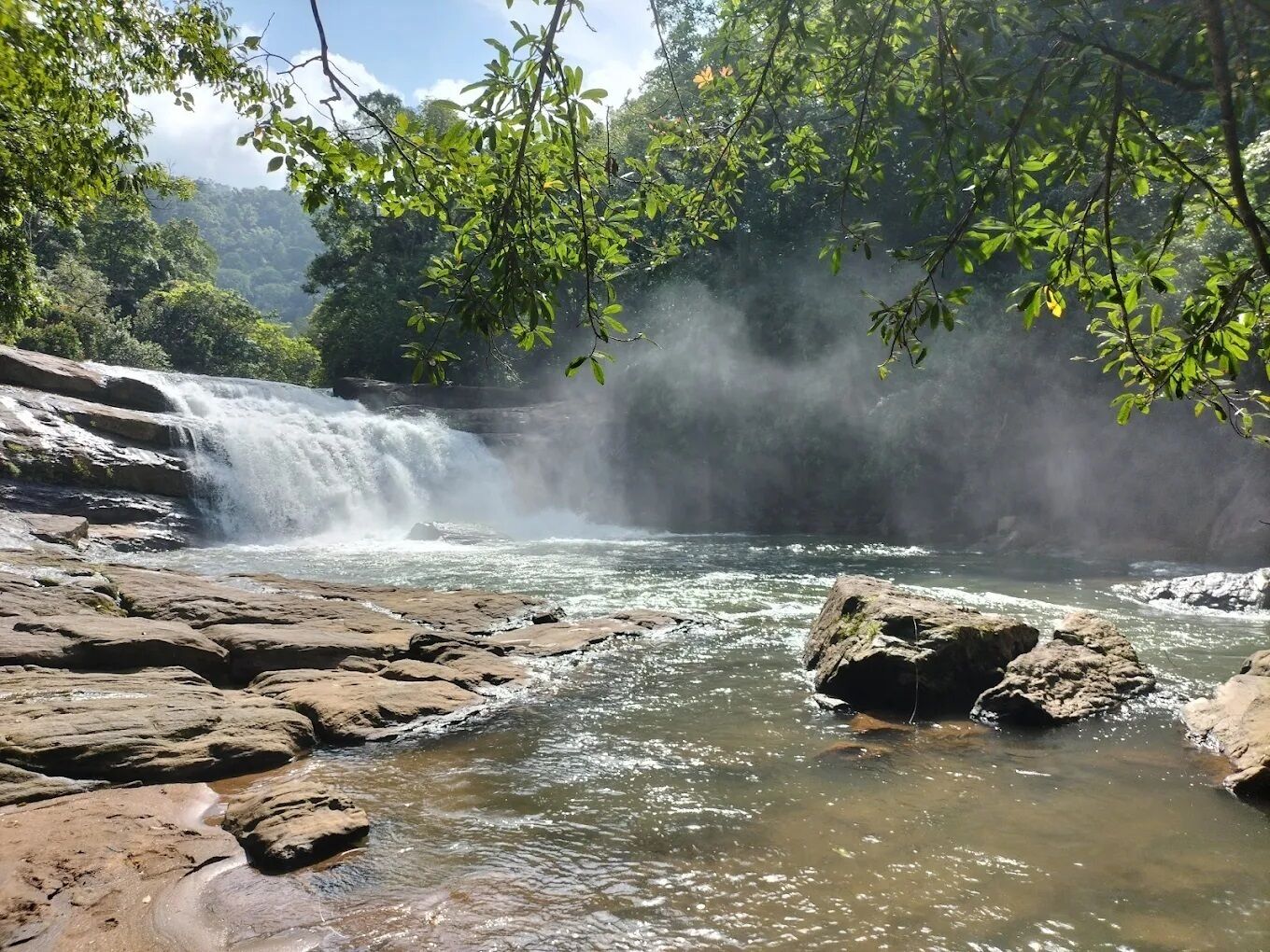 A waterfall in a forested area with clear water and rocky terrain.