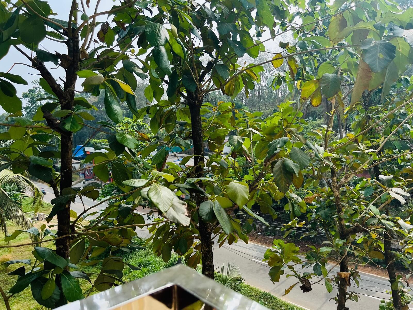 住宿地面