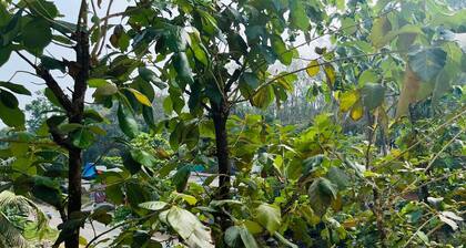 JDMx Park Villa Thodupuzha for Families and Groups