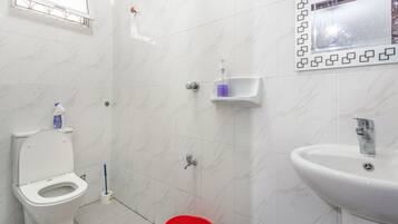 Shower, bidet, towels, soap