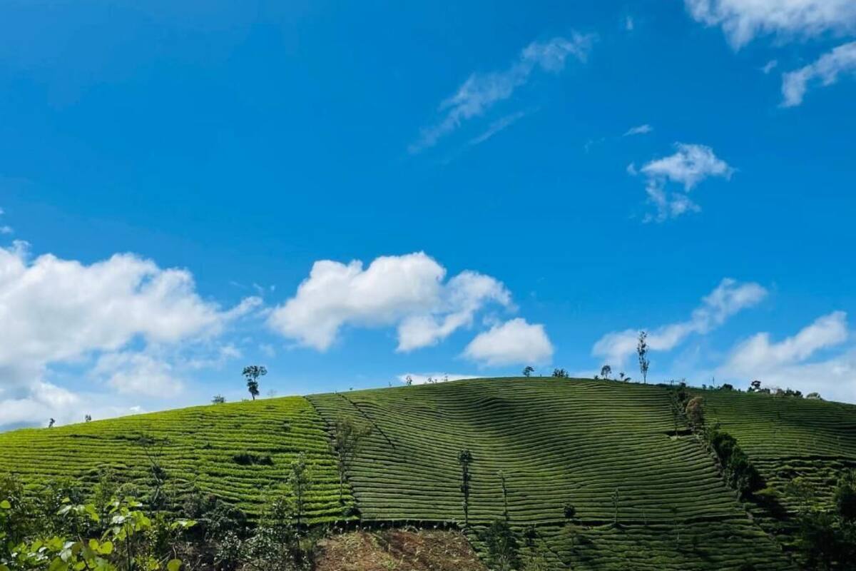 Double or Twin Room, Mountain View | Miscellaneous