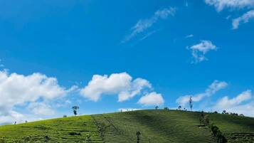 Double or Twin Room, Mountain View | Miscellaneous