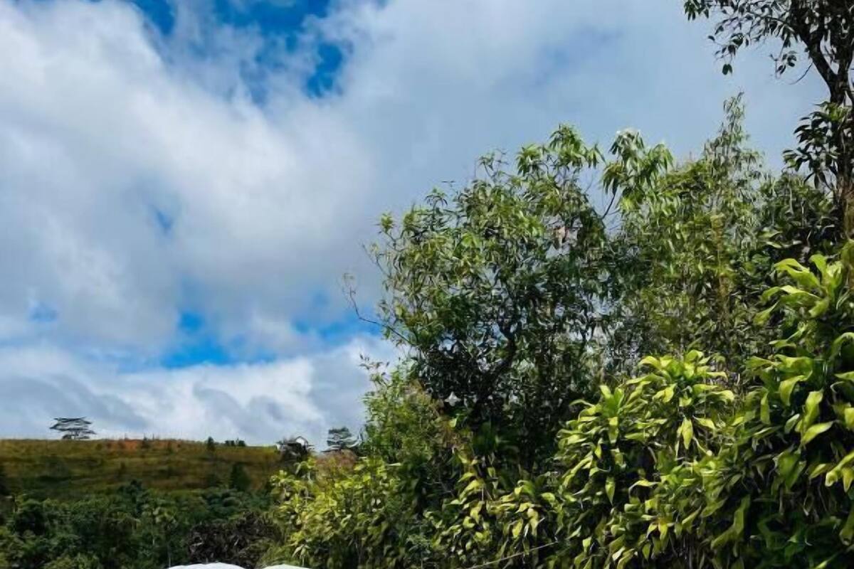 Double or Twin Room, Mountain View | Miscellaneous