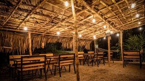 An outdoor seating area with wooden benches and tables under a thatched roof structure.