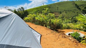 A tent on a dirt path with lush green tea plantations in the background.