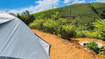 Double or Twin Room, Mountain View | Property grounds