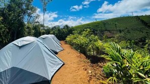 A pathway leading to tents in a natural setting with a clear sky and green landscape.
