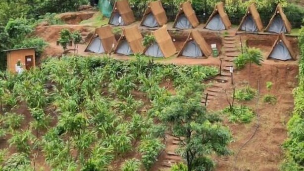 A series of conical-roofed structures arranged in a row, surrounded by lush greenery and a hilly backdrop.