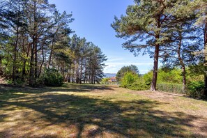 Àrea exterior de l'allotjament