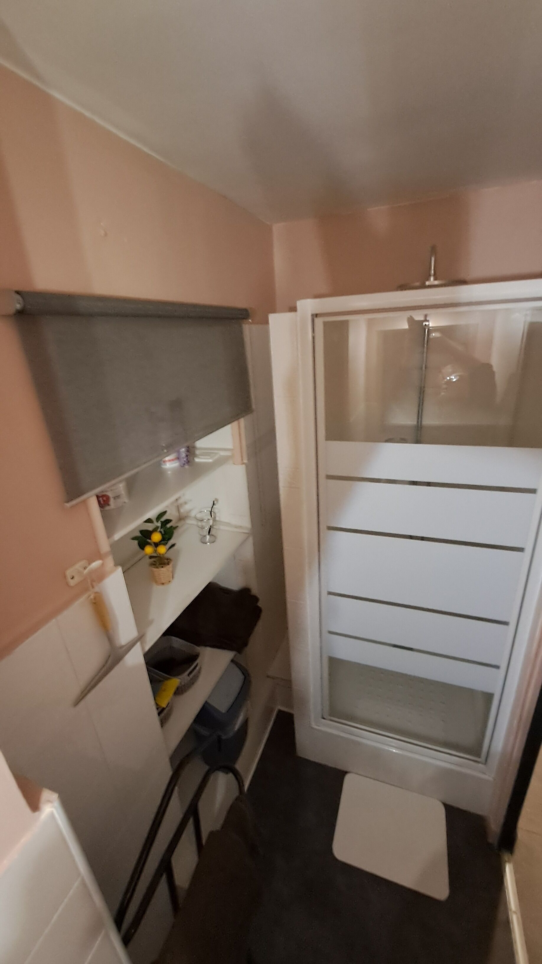 Ein kleines Badezimmer mit Dusche, Spiegel und Ablage für Toilettenartikel.