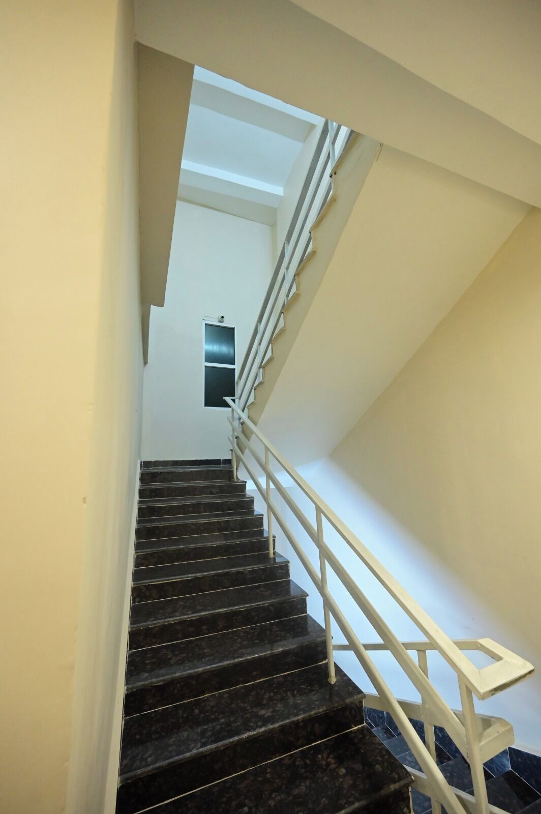 Una escalera con barandilla blanca, escalones negros y pared de color claro.