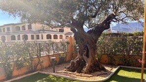 A tree in a landscaped area with a building in the background. - Beautiful private villa for 6 guests with A/C, WIFI, TV and balcony (Villasimius)