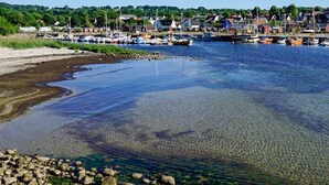 Puerto deportivo con barcos amarrados, una masa de agua cristalina y una orilla con rocas y vegetación.