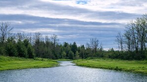 A river meandering through a grassy landscape with trees on both sides.