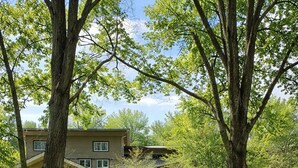 A two-story house with a well-maintained lawn and large trees.