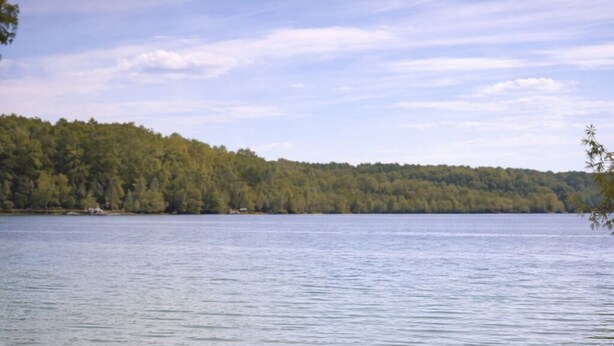 A calm lake with a sandy beach and a forested shoreline.
