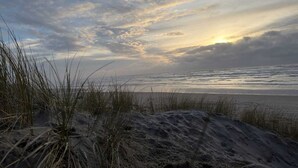 Una spiaggia con dune di sabbia ed erba.
