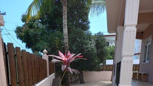 A pathway leading to a building with a wooden fence, a palm tree, and a small garden area with pebbles and plants. - Private 3BR Villa & Pool | Flic en Flac | 100% Privacy & 7Mins walk to the beach (Flic en Flac)