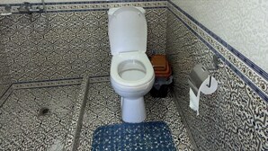 A bathroom with a toilet, shower, and patterned tiles.